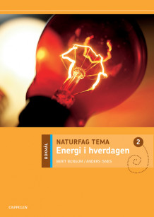 Naturfag Tema Energi i hverdagen av Berit Bungum (Heftet)