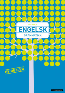 Engelsk Grammatikk av Kristin Anja Aalto (Heftet)