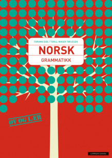 Norsk Grammatikk av Torunn Eide (Heftet)