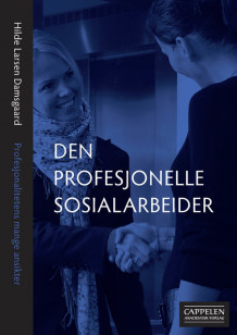 Den profesjonelle sosialarbeider av Hilde Larsen Damsgaard (Heftet)