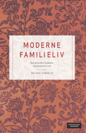 Moderne familieliv av Helene Aarseth (Heftet)