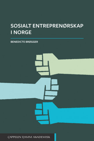 Sosialt entreprenørskap i Norge av Benedicte Brøgger (Heftet)