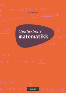 Opplæring i matematikk av Marit Holm (Ebok)