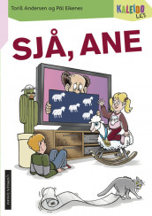 Kaleido Les Nivå 1 Sjå, Ane av Torill Andersen (Heftet)