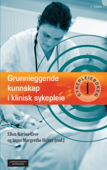 Grunnleggende kunnskap i klinisk sykepleie av Ellen Karine Grov og Inger Margrethe Holter (Innbundet)