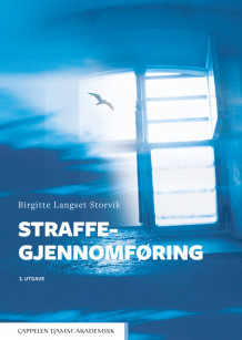 Straffegjennomføring av Birgitte Langset Storvik (Heftet)
