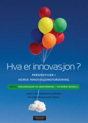 Hva er innovasjon? Perspektiver i norsk innovasjonsforskning av Hans Chr. Garmann Johnsen og Øyvind Pålshaugen (Ebok)