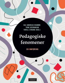 Pedagogiske fenomener av Ole Andreas Kvamme, Tone Kvernbekk og Torill Strand (Heftet)
