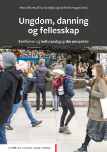 Ungdom, danning og fellesskap av Maria Øksnes, Einar Sundsdal og Cecilie R. Haugen (Heftet)