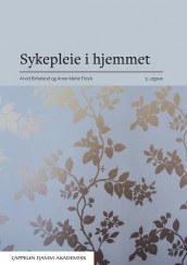 Sykepleie i hjemmet av Arvid Birkeland og Anne Marie Flovik (Heftet)