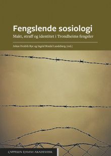 Fengslende sosiologi av Johan Fredrik Rye og Ingrid Rindal Lundeberg (Open Access)