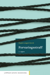 Forvaringsstraff av Birgitte Langset Storvik (Heftet)