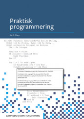 Praktisk programmering av Kai A. Olsen (Heftet)