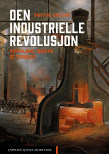 Den industrielle revolusjon av Kristine Bruland (Heftet)