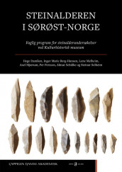 Omslag - Steinalderen i Sørøst-Norge