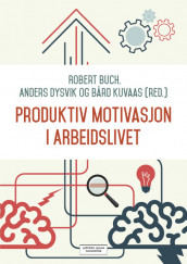 Omslag - Produktiv motivasjon i arbeidslivet