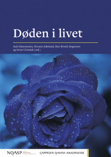 Døden i livet av Aud Johannessen, Norunn Askeland, Iben Brinch Jørgensen og Jorun Ulvestad (Heftet)