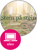 Stein på stein Digital Elevnettsted av Elisabeth Ellingsen og Kirsti Mac Donald (Nettsted)