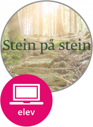 Stein på stein Digital Elevnettsted av Elisabeth Ellingsen og Kirsti Mac Donald (Nettsted)