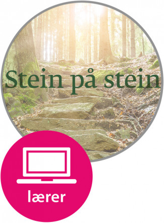 Stein på stein Digital Lærernettsted av Elisabeth Ellingsen og Kirsti Mac Donald (Nettsted)
