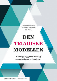 Den triadiske modellen av Andreas Reier Jensen, Hans Otto Ringereide og Hilde Witsø (Ebok)