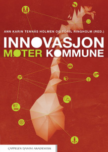 Innovasjon møter kommune av Ann Karin Tennås Holmen og Toril Ringholm (Ebok)