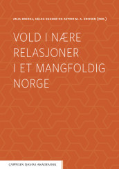 Vold i nære relasjoner i et mangfoldig Norge av Anja Bredal, Helga Eggebø og Astrid Eriksen (Heftet)