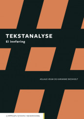 Tekstanalyse av Karianne Skovholt og Aslaug Veum (Heftet)