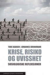 Krise, risiko og uvisshet av Tore Bakken og Johannes Brinkmann (Heftet)