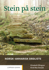 Omslag - Stein på stein Norsk-amharisk ordliste (2021)
