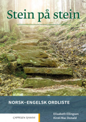 Omslag - Stein på stein Norsk-engelsk ordliste (2021)