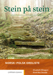 Omslag - Stein på stein Norsk-polsk ordliste (2021)