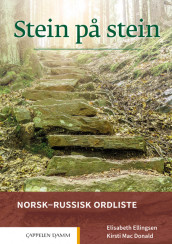 Omslag - Stein på stein Norsk-russisk ordliste (2021)