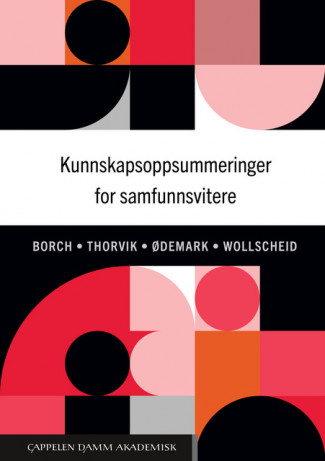 Kunnskapsoppsummeringer for samfunnsvitere av Anita Borch, Camilla Thorvik, Ingjerd Legreid Ødemark og Sabine Wollscheid (Heftet)
