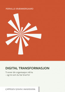 Digital transformasjon av Pernille Kræmmergaard (Heftet)