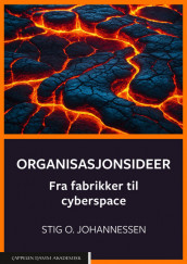Omslag - Organisasjonsideer