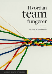 Omslag - Hvordan team fungerer