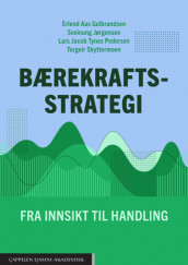 Omslag - Bærekraftsstrategi