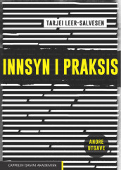 Omslag - Innsyn i praksis