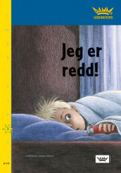 Damms leseunivers 1: Jeg er redd! av Birgit Eriksson (Heftet)