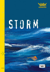 Damms leseunivers 1: Storm av Birgit Eriksson (Heftet)