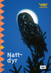 Damms leseunivers 1: Nattdyr av Malin Blomberg Wedsberg (Heftet)