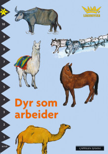 Damms leseunivers 1: Dyr som arbeider av Inger Strömsten (Heftet)