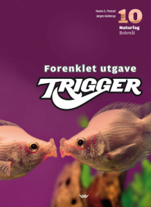 Trigger 10 Forenklet utgave bm av Hanne S. Finstad og Jørgen Kolderup (Innbundet)